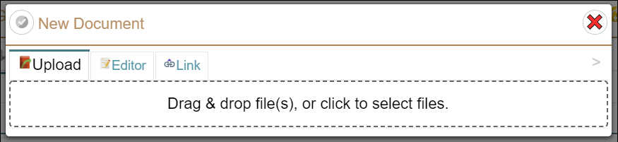 New Document Window